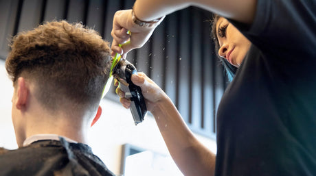 How to Choose a Clipper: 5 Things to Consider