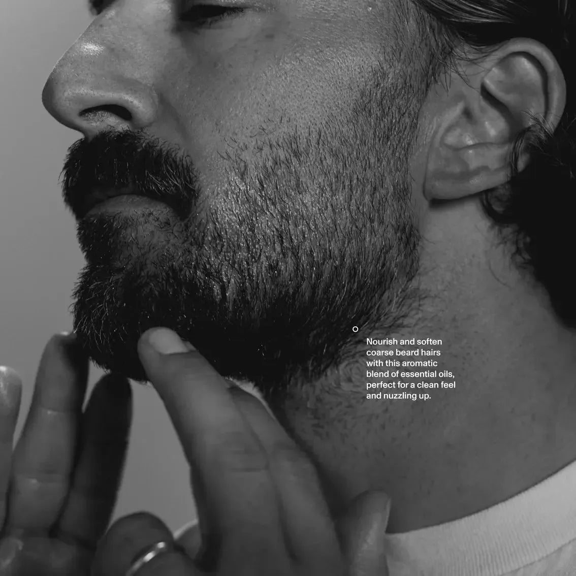 Beard Replenishment Oil