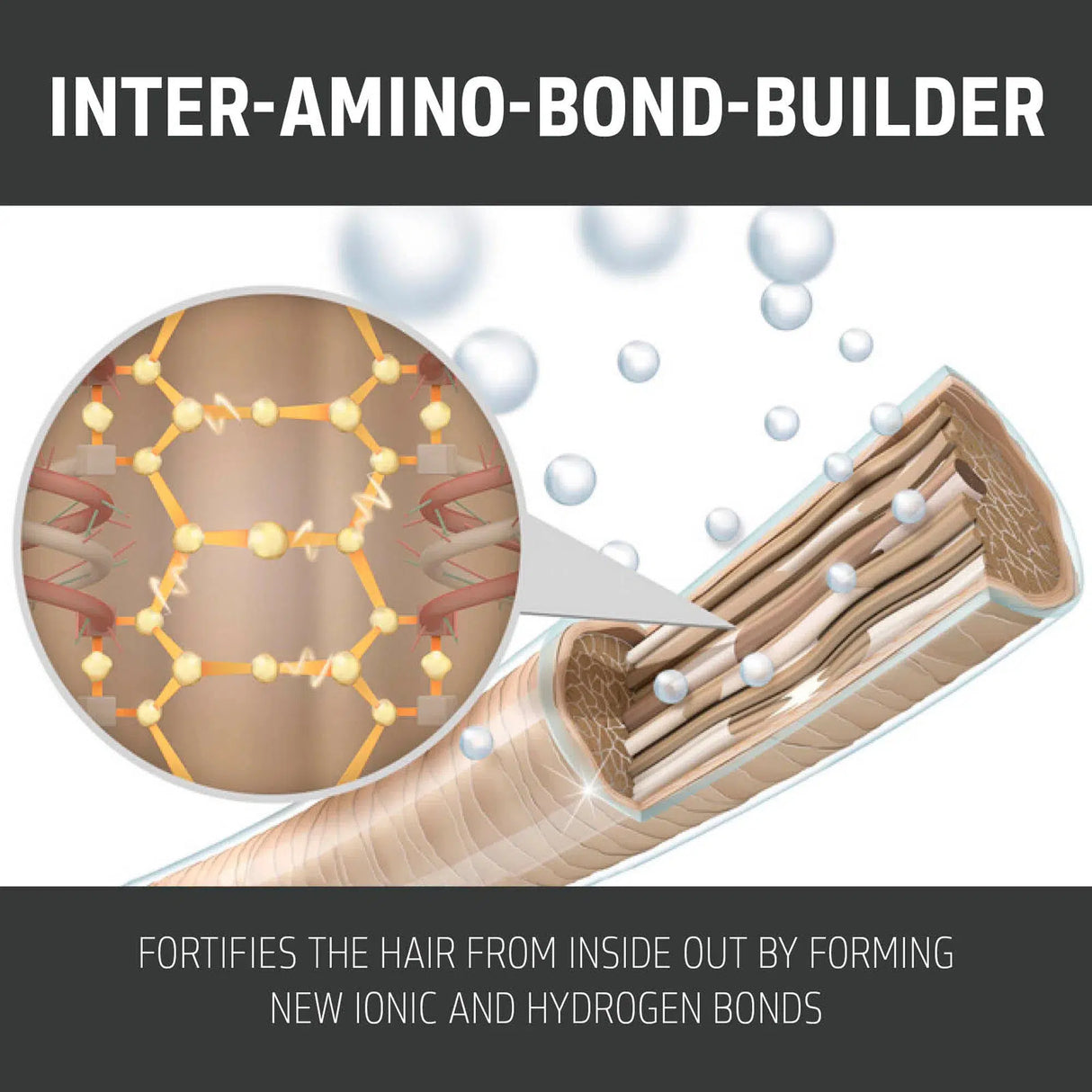 Dualsenses Bond Pro Day & Night Bond Booster