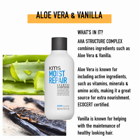 Hair Favourites Sampler Set