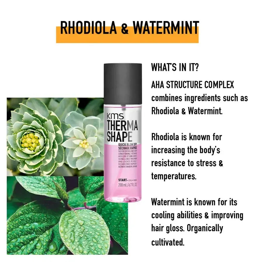 Hair Favourites Sampler Set