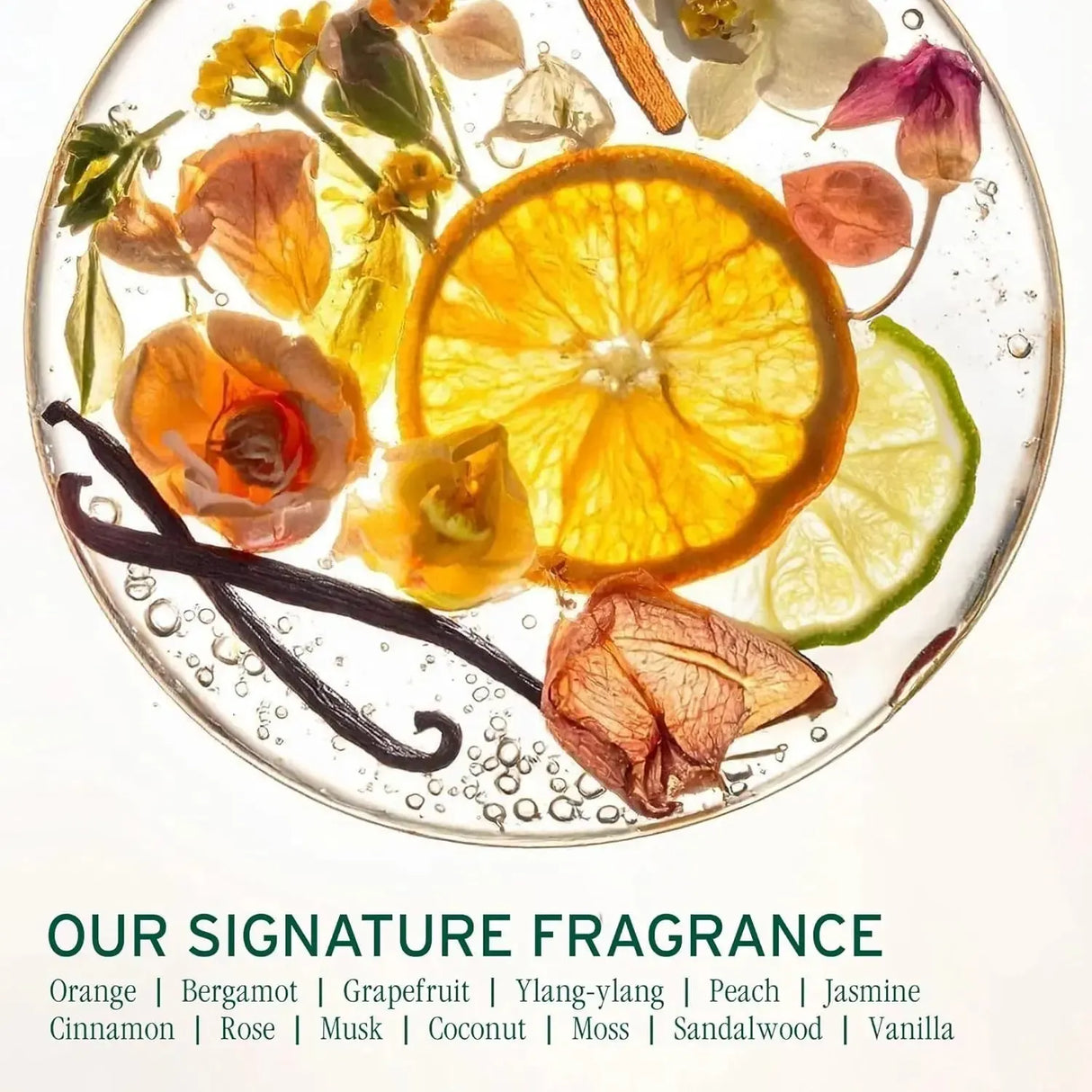 HydraSource Daily Leave-In Cream