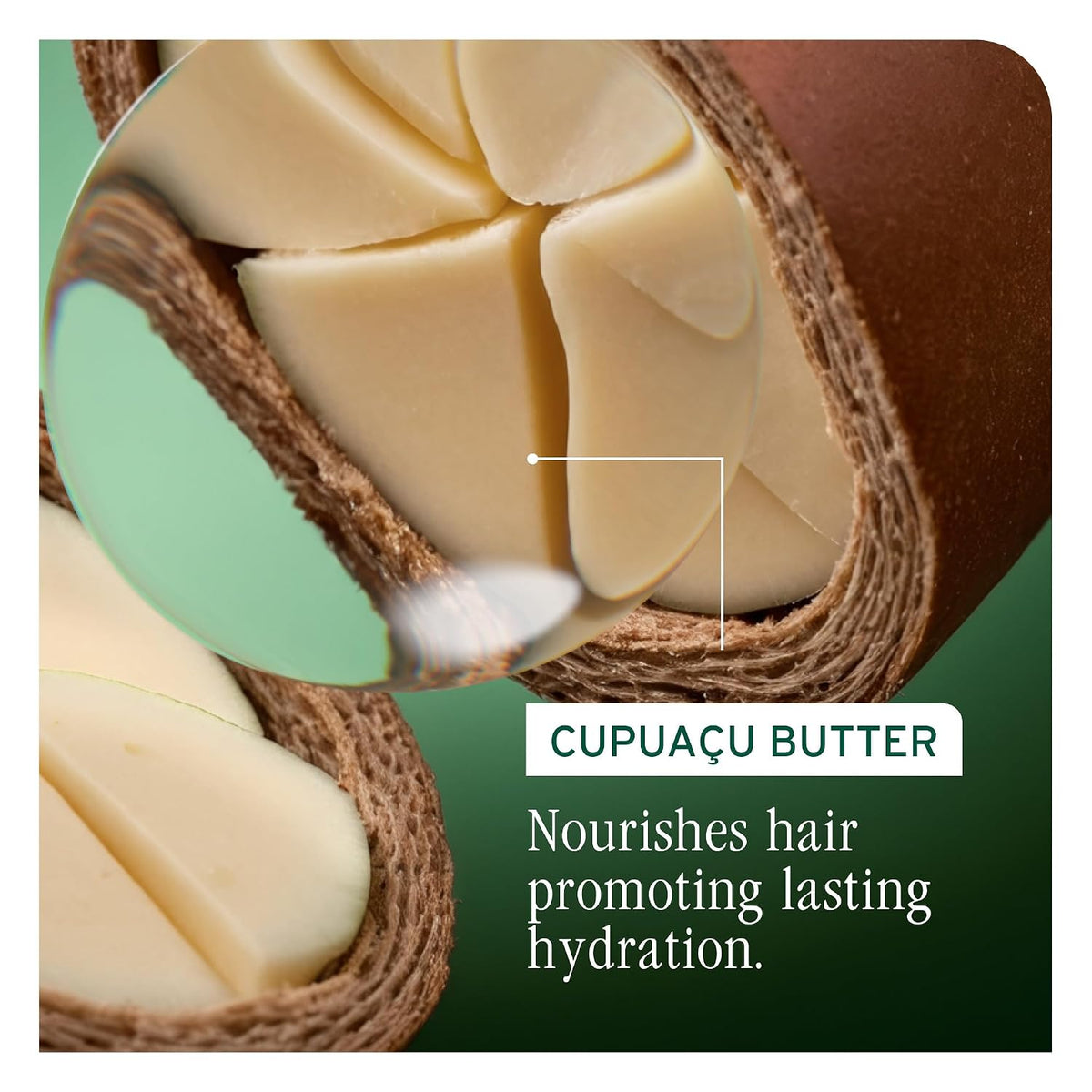 Ultra Hydra Source Conditioner