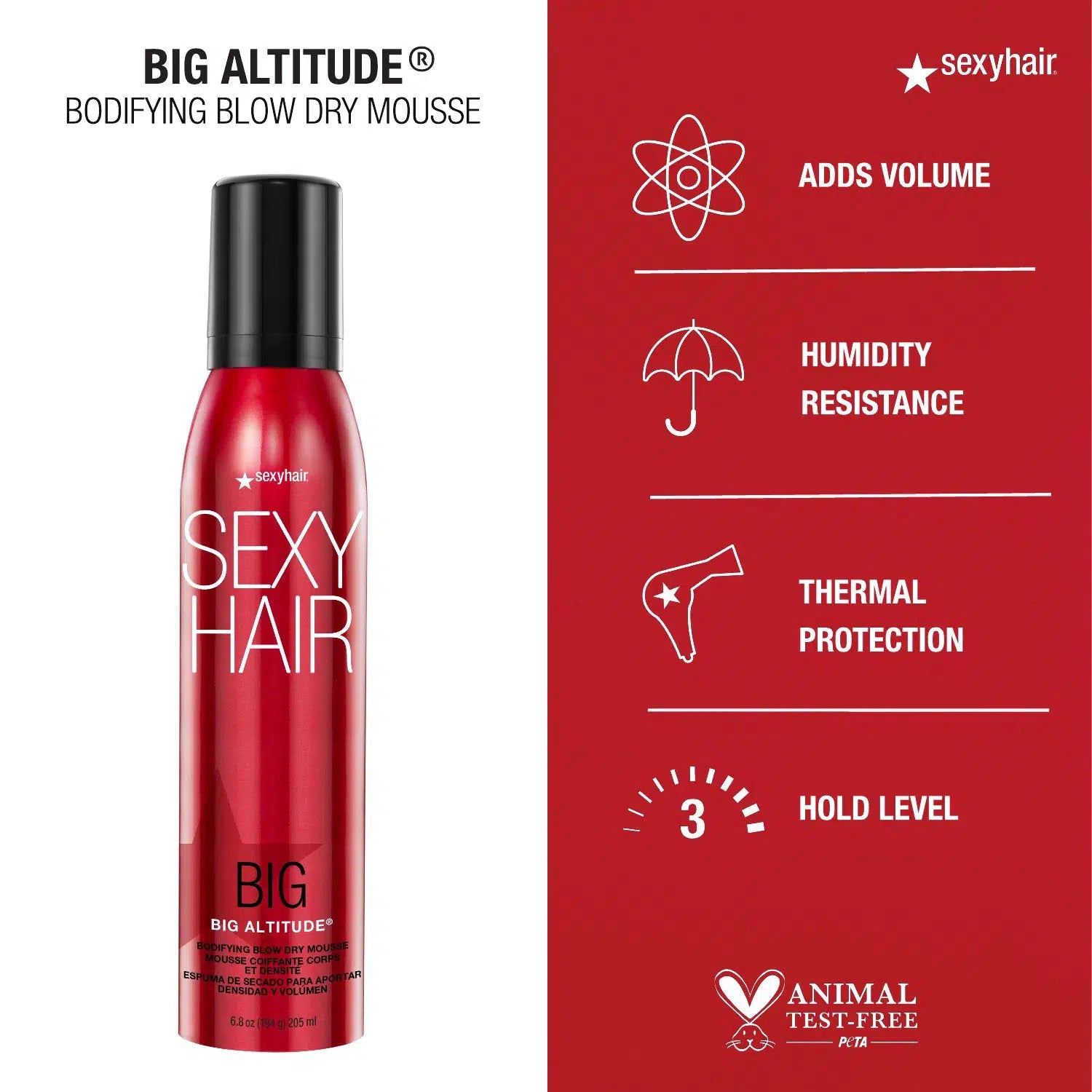 Big Altitude Bodifying Blow Dry Mousse