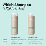 Clarifying Shampoo Two