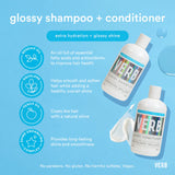 Glossy Conditioner-Verb