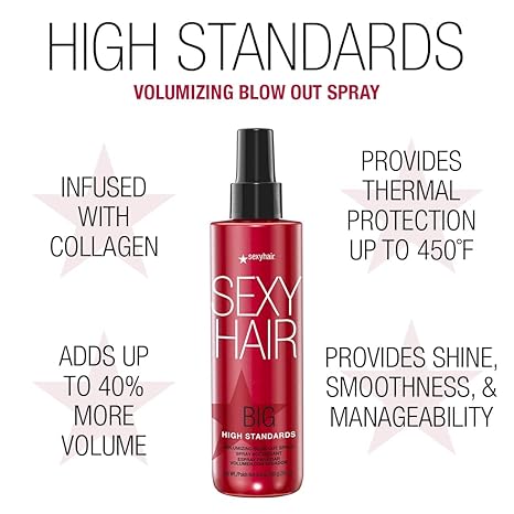 High Standards Volumizing Blow Out Spray