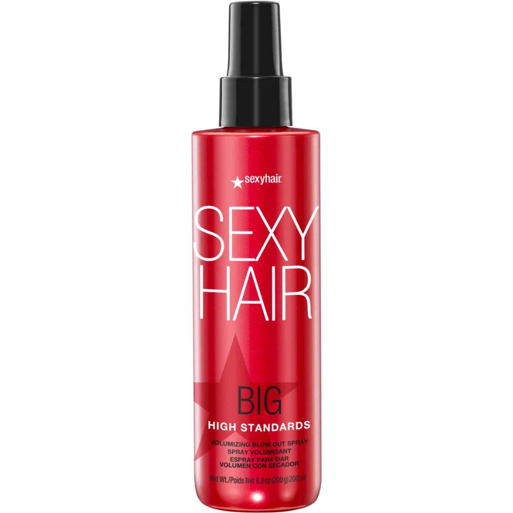 High Standards Volumizing Blow Out Spray