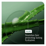 HydraSource Daily Leave-In Cream