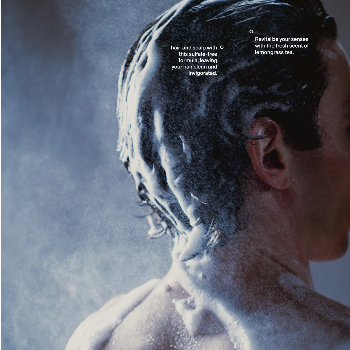 Lemongrass Tea Shampoo