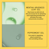 Scalp + Hair Conditioner - System 1