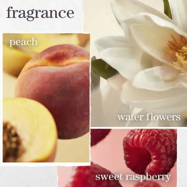 Strength Cure Discovery Kit