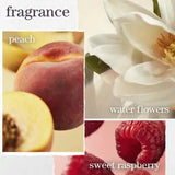 Strength Cure Discovery Kit