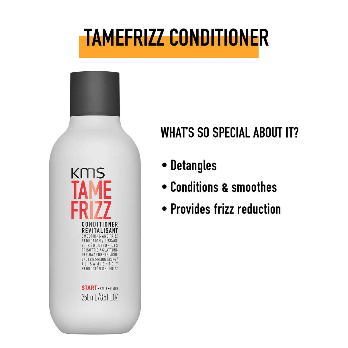 TameFrizz Conditioner