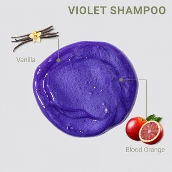 Violet Shampoo + Conditioner Duo