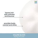 Whipped Volume Mousse